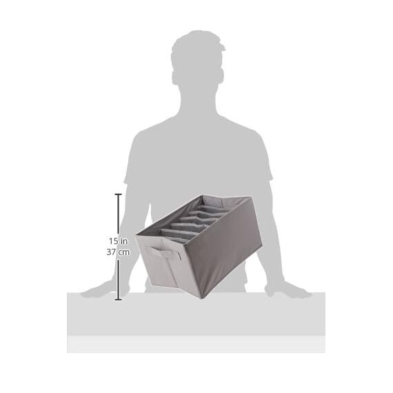 Amazon Basics Organizer für BHs und Unterwäsche, für Kommoden, Doppelpack, Grau, 2 Stück (Packung mit 2)