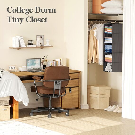 Lifewit Hängeregal, Schrank Organizer, Hängesystem Kleiderschrank, Hängeaufbewahrung aus Stoff, Ordnungssystem Kleiderschrank, Faltbar und Platzsparend mit Metallhaken, 1 Stück, Schwarz