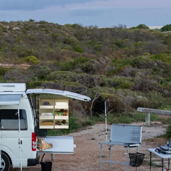 GRANNY SAYS Hängeregal Kleiderschrank mit 3 Fächern, 2 Stück Hängeaufbewahrung Schrank, Hängeorganizer Kleiderschrank, Beige Hängeorganizer Schrank, Faltbare hänge Regal Stoff, Hanging Organizer