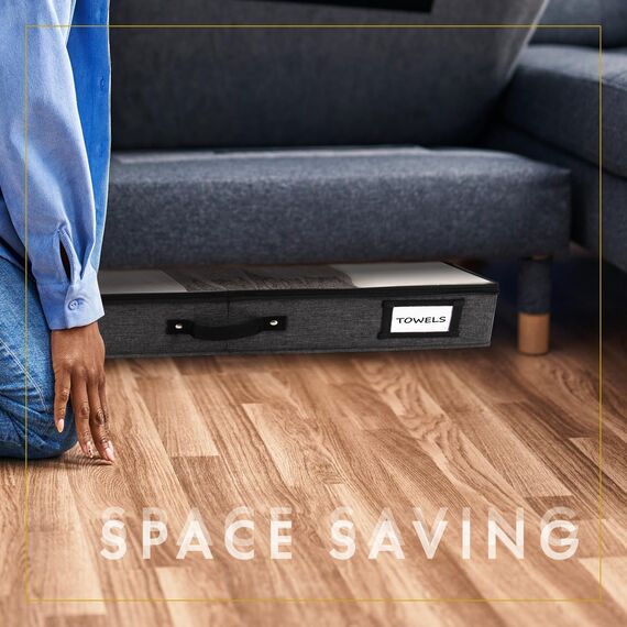 HOMELUX THEORY Premium-Unterbett-Aufbewahrungsbehälter mit extra dickem Karton an allen Seiten, 33x17x4.5 cm, niedriges Profil, 2 Stück