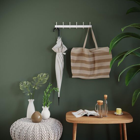 Dripex Garderobenleiste Rostfrei Edelstahl Kleiderhaken Garderobenhaken Doppelhaken bis zu 30kg belastbar Haken Weiß, 6 Haken