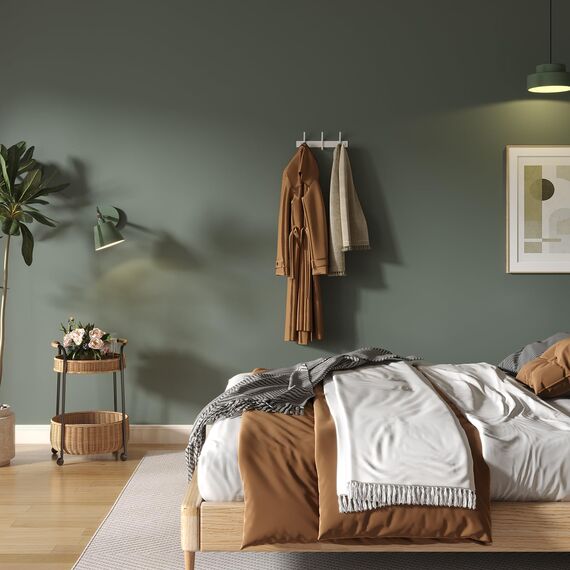 Dripex Garderobenleiste Rostfrei Edelstahl Kleiderhaken Garderobenhaken Doppelhaken bis zu 20kg belastbar Haken Weiß, 3 Haken 2 Stück