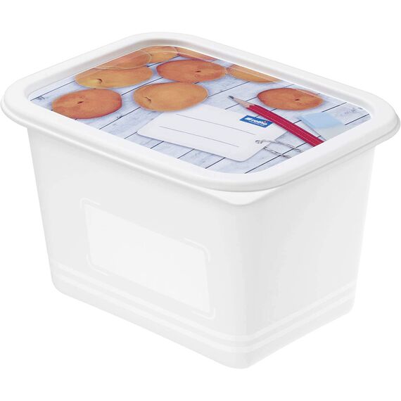 Rotho Domino 4er-Set Gefrierdose 1l mit beschreibbarem Motiv auf dem Deckel, lebensmittelechter Kunststoff (PP) BPA-frei, weiss, 4 x 1l (15.7 x 11.8 x 10.0 cm), Weiß