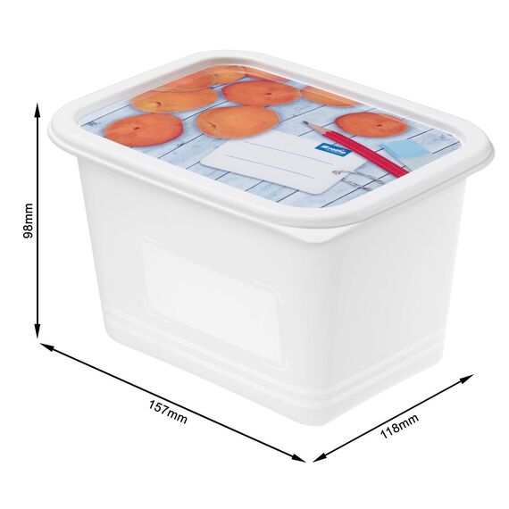 Rotho Domino 4er-Set Gefrierdose 1l mit beschreibbarem Motiv auf dem Deckel, lebensmittelechter Kunststoff (PP) BPA-frei, weiss, 4 x 1l (15.7 x 11.8 x 10.0 cm), Weiß
