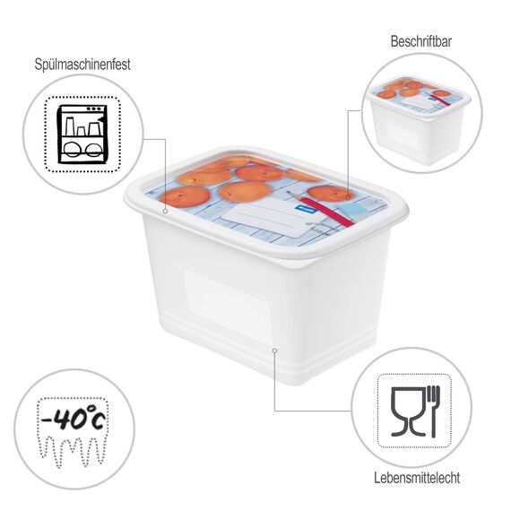 Rotho Domino 4er-Set Gefrierdose 1l mit beschreibbarem Motiv auf dem Deckel, lebensmittelechter Kunststoff (PP) BPA-frei, weiss, 4 x 1l (15.7 x 11.8 x 10.0 cm), Weiß