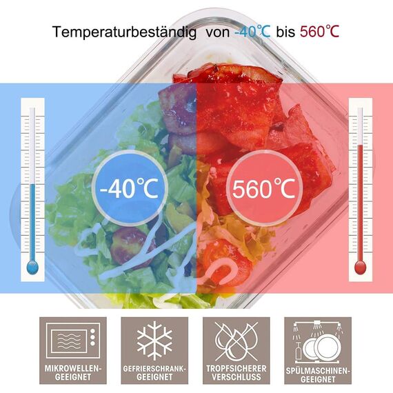 Fenger Glas Frischhaltedosen mit deckel Vorratsbehälterset,kühlschrank organizer Aufbewahrungsbehälter aufschnittboxen，meal prep gläser - luftdicht mikrowellengeschirr BPA-frei (10 Behälter)