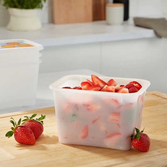 Rotho Domino 4er-Set Gefrierdose 1l mit beschreibbarem Motiv auf dem Deckel, lebensmittelechter Kunststoff (PP) BPA-frei, weiss, 4 x 1l (15.7 x 11.8 x 10.0 cm), Weiß