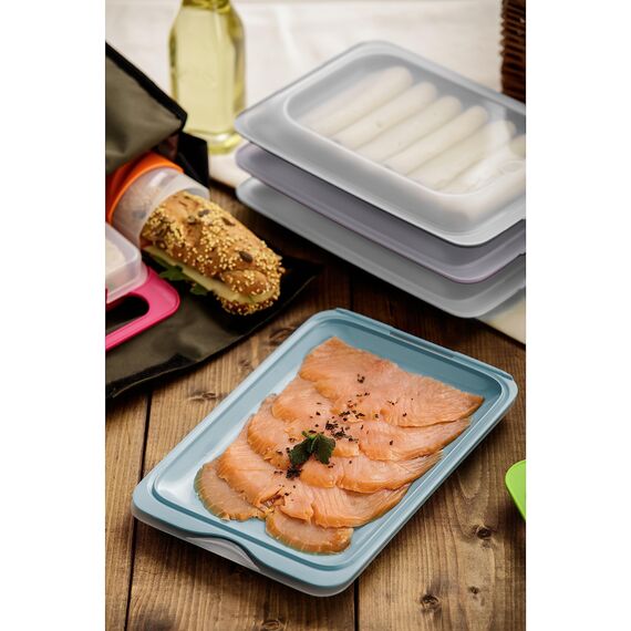 TATAY Aufschnittboxen für Kühlschrank | 4er Set Standard | Frischhaltedosen mit Deckel, Stapelbar | Geeignet für Gefrierschrank, Mikrowelle und Spülmaschine | BPA-frei, 17x3,2x25,2 cm, Pastellfarben