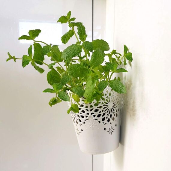 smart by Leviatan Doppelseitiges Klebeband Extra Stark 3m - Nano Tape - Transparent Entfernbares Wiederverwendbares Klebestreifen - Mehrfach Verwendbare Klebestreifen Double Sided, Breite 3cm