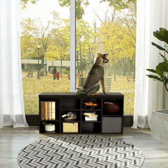 VASAGLE Schuhbank, Schuhregal, Schuhaufbewahrung, Sitzbank, 10 Fächer, mit Polsterung, für den Eingangsbereich, Flur, Schlafzimmer, 30 x 104 x 48 cm, espressobraun-braun LHS10BR