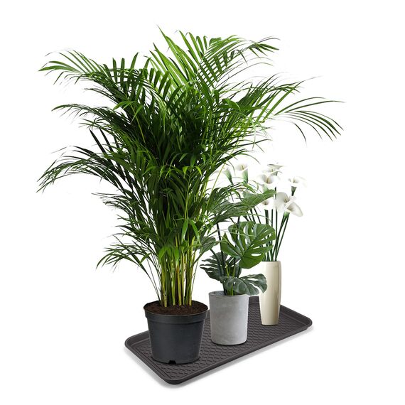 Supremery 3X XL Schuhabtropfschale Schuhmatte Ablage - Schuhablage 76x38x3cm mit erhöhtem Rand - Abtropfschale Schwarz für Schuhe Regen Herbst Winter Welpenunterlage - auch für Katzen