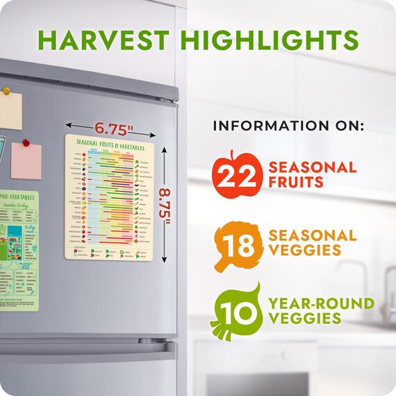 Levain & Co Kühlschrankmagnet für Obst und Gemüse, leicht zu befolgende saisonale Produkte, Leitfaden für immer frisches Gemüse und Obstmagnete, saisonaler Obst- und Gemüse-Kalender