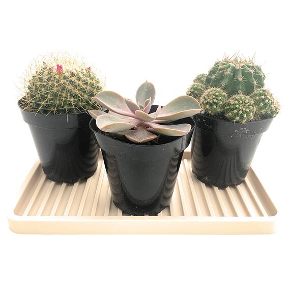 Happitasa Silikon-Küchenspüle-Organizer, Schwammhalter und Arbeitsplattenschutz, gerade Linien, 25,4 x 13,3 cm