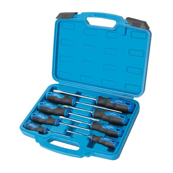 8-teiliges magnetisches Schraubendreher-Set mit Nichromspitze, 4 Kreuzschlitz und 4 Schlitzspitzen, professionelles Schraubendreher-Set mit hohem Drehmoment (8pc_silver tip_gloss)