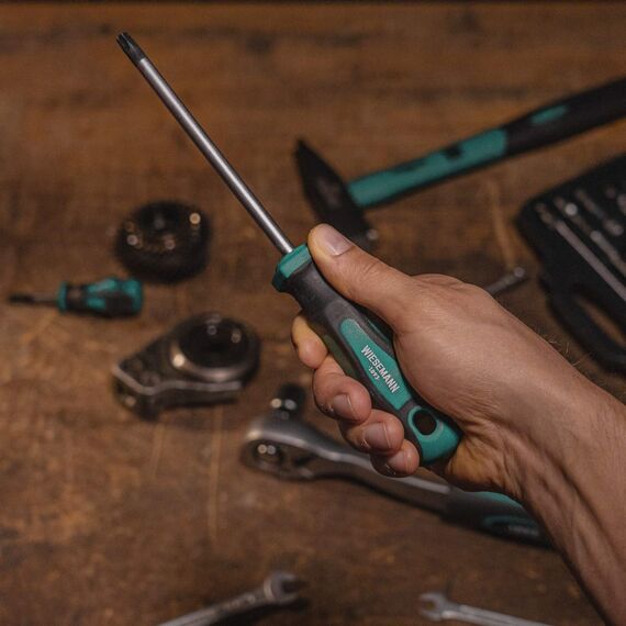 TX Schraubendreher Set für Torx Schrauben 6 tlg. mit ENSURE-Tip aus Q-50 Stahl von WIESEMANN 1893 I T10, T15, T20, T25, T30, T40 I Mit Magnetischer Spitze I 81147