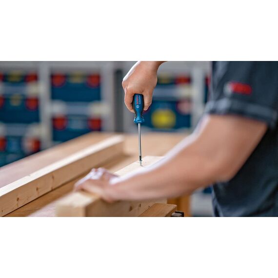 Bosch Professional Torx-Schraubendreher TX40 x 125mm