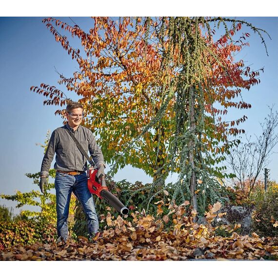 Einhell Professional Akku-Laubbläser GP-LB 36/210 Li E-Solo Power X-Change (Lithium-Ionen, 816m³/h Blasleistung, Turboschalter, 3-stufiges + abnehmbares Rohr, ohne Akku und Ladegerät)