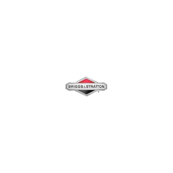 Briggs and Stratton Original Briggs & Stratton Luftfilter 792038, Orange