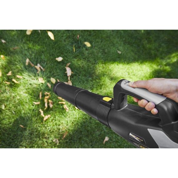 Alpina Akku-Laubbläser ABL 20 Li Kit, Für einen gepflegten Garten, 20 V (4 Ah) Akku, 280 W, Platzsparend abnehmbares Rohr, Inkl.Akku und Ladegerät.