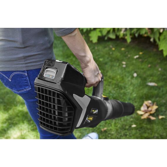 Alpina Akku-Laubbläser ABL 20 Li Kit, Für einen gepflegten Garten, 20 V (4 Ah) Akku, 280 W, Platzsparend abnehmbares Rohr, Inkl.Akku und Ladegerät.