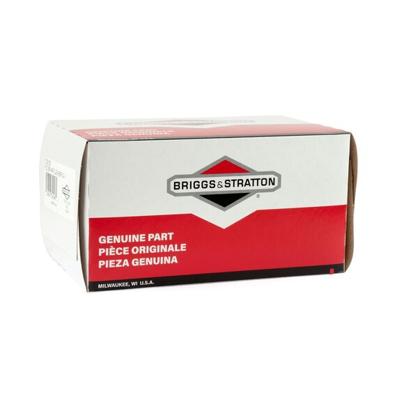Briggs & Stratton Filter 310195, mehrfarbig