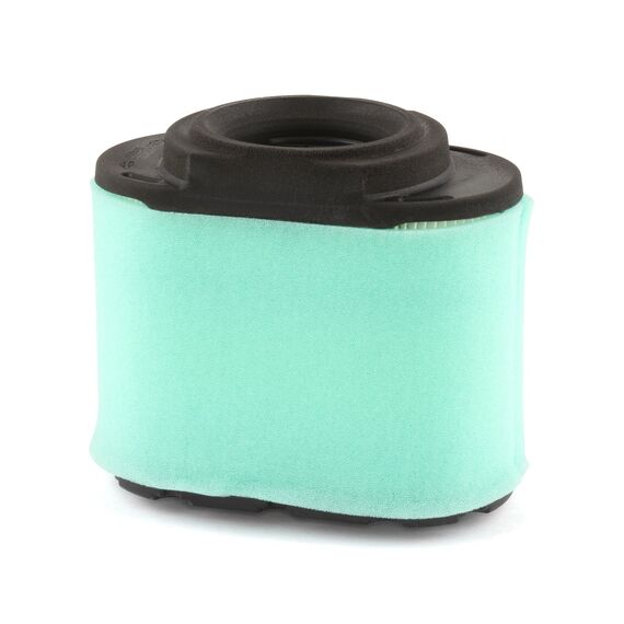 Briggs & Stratton Filter 310195, mehrfarbig