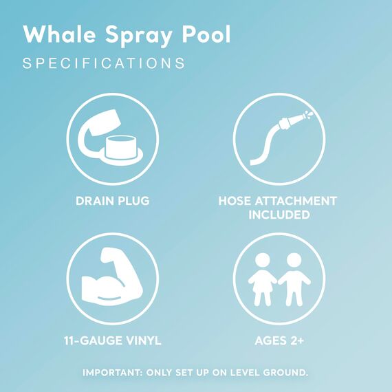 Intex Recreation Corp 57440EP E Pool Wal Spray