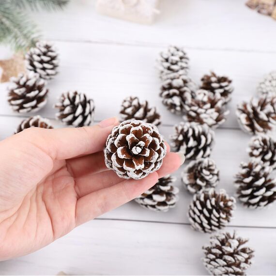 ENLACE 30 Stück Tannenzapfen, ca. 2-3cm, Klein Weihnachten Tannenzapfen mit Weißer Anstrich, Natur Kiefernzapfen Deko für Weihnachtsdeko DIY Handwerk Weihnachtsbaum Herbst Winter Dekoration