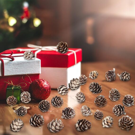 200 Stück Weihnachten Tannenzapfen Natürliche Mini Tannenzapfen Tannenzapfen Weihnachten Tannenzapfen Ornamente für Heimtextilien DIY Handwerk Weihnachtsbaum Herbst Winter Dekoration, Weiß