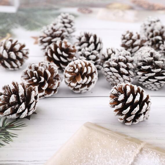 ENLACE 30 Stück Tannenzapfen, ca. 2-3cm, Klein Weihnachten Tannenzapfen mit Weißer Anstrich, Natur Kiefernzapfen Deko für Weihnachtsdeko DIY Handwerk Weihnachtsbaum Herbst Winter Dekoration