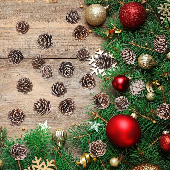 200 Stück Weihnachten Tannenzapfen Natürliche Mini Tannenzapfen Tannenzapfen Weihnachten Tannenzapfen Ornamente für Heimtextilien DIY Handwerk Weihnachtsbaum Herbst Winter Dekoration, Weiß