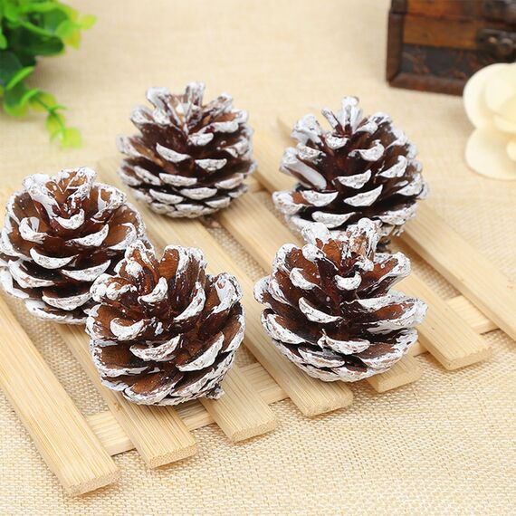 ENLACE 30 Stück Tannenzapfen, ca. 2-3cm, Klein Weihnachten Tannenzapfen mit Weißer Anstrich, Natur Kiefernzapfen Deko für Weihnachtsdeko DIY Handwerk Weihnachtsbaum Herbst Winter Dekoration