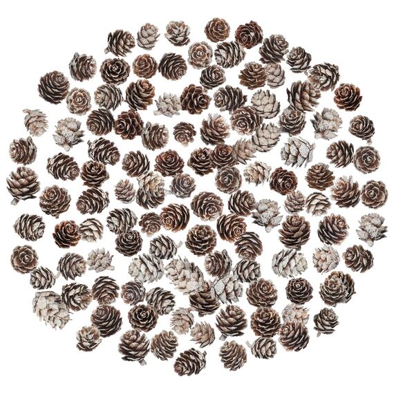 200 Stück Weihnachten Tannenzapfen Natürliche Mini Tannenzapfen Tannenzapfen Weihnachten Tannenzapfen Ornamente für Heimtextilien DIY Handwerk Weihnachtsbaum Herbst Winter Dekoration, Weiß