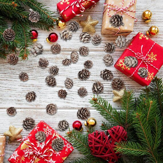 200 Stück Weihnachten Tannenzapfen Natürliche Mini Tannenzapfen Tannenzapfen Weihnachten Tannenzapfen Ornamente für Heimtextilien DIY Handwerk Weihnachtsbaum Herbst Winter Dekoration, Weiß
