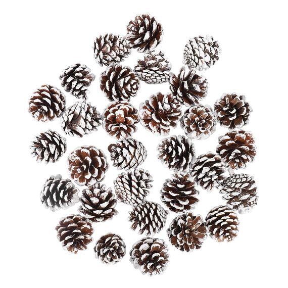 ENLACE 30 Stück Tannenzapfen, ca. 2-3cm, Klein Weihnachten Tannenzapfen mit Weißer Anstrich, Natur Kiefernzapfen Deko für Weihnachtsdeko DIY Handwerk Weihnachtsbaum Herbst Winter Dekoration