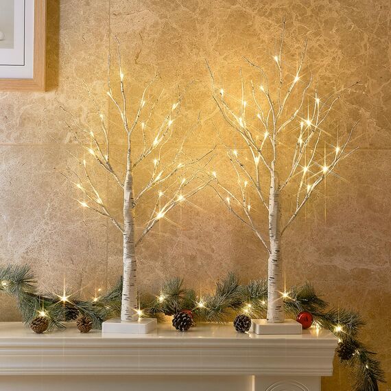 EAMBRITE 2er Set Lichterbaum Lichterzweige für Innen 24 Warmweiß LEDs Bäumchen Birken Dekozweige Batteriebetrieb Weihnachtsdeko für Zuhause Party Geburtstag Hochzeit Innendekoration (60cm/2ft)