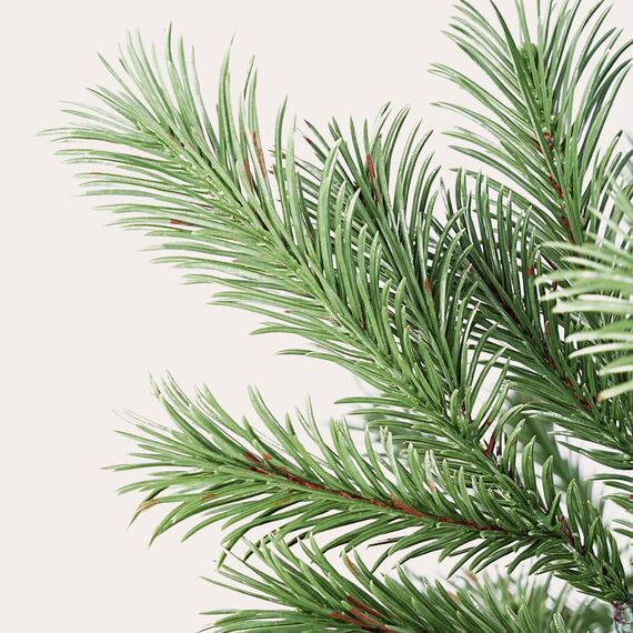 SALCAR Künstlicher Weihnachtsbaum 180 cm aus 90% PE Spritzguss, Premium Nordmanntanne, realistischer Christbaum mit Schnellaufbau Klappsystem