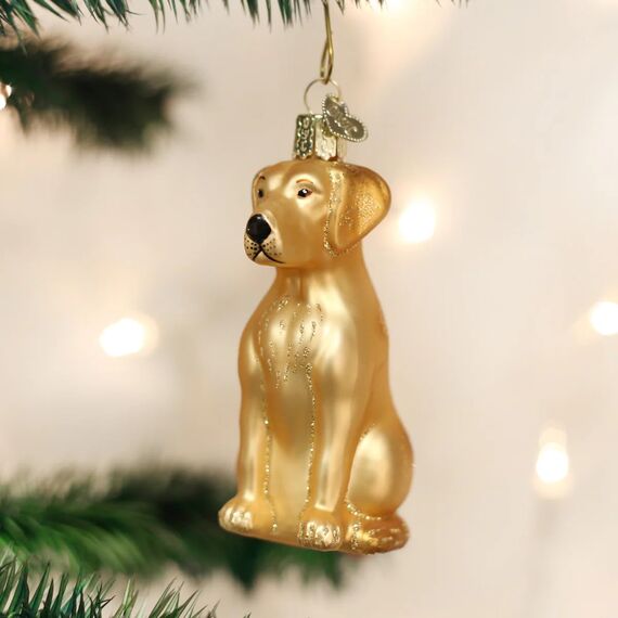 Old World Christmas Gelber Labrador Old World Weihnachtsschmuck: Hundekollektion, Glasornamente für Weihnachtsbaum, Glas, 3.75 x 1.5