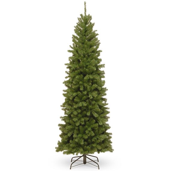 National Tree North Valley Fichte, schmaler Baum, 2,1 m, 2,1 m