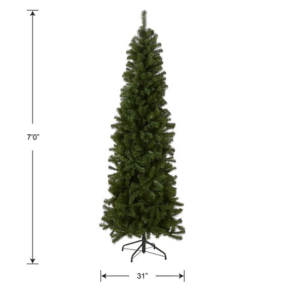 National Tree North Valley Fichte, schmaler Baum, 2,1 m, 2,1 m