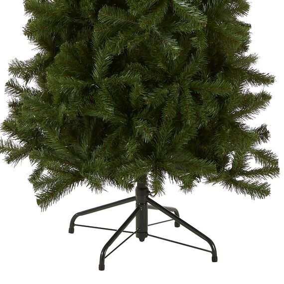 National Tree North Valley Fichte, schmaler Baum, 2,1 m, 2,1 m