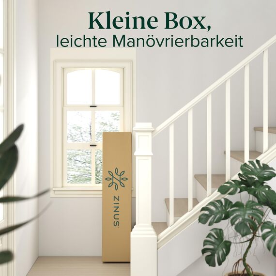 Zinus Caleb Bett 180x200 cm - Höhe 36 cm mit Stauraum unter dem Bett - Metall-Plattformbettrahmen - Klappbarer Bettrahmen - Schwarz