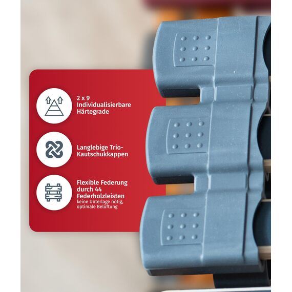 7 Zonen Lattenrost Rhodos® NV | 44 Leisten | Triokautschukkappen | Querholme 100% BUCHE massiv | Mittelgurt | fertig montiert | TÜV/GS Gesichert Geprüft ID 1111212908 | 80 x 220 cm