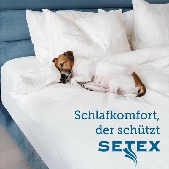 SETEX Molton Matratzenschutz, 140 x 200 cm, Eckgummis, 100% Baumwolle, Basic, Naturfarben 1607140200001001