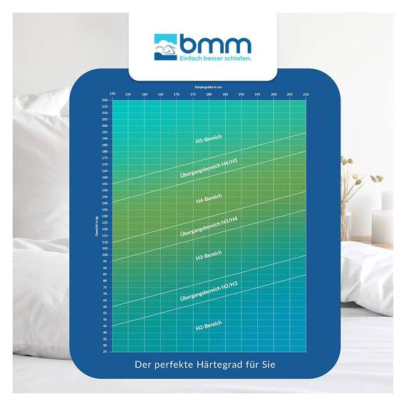 BMM Matratze 90x220 cm Komfort 19 Härtegrad H3 fest/Kaltschaummatratze Öko-Tex Zertifiziert/ergonomische 7 Zonen Matratze Höhe 19 cm/Matratzen Deutsche Produktentwicklung
