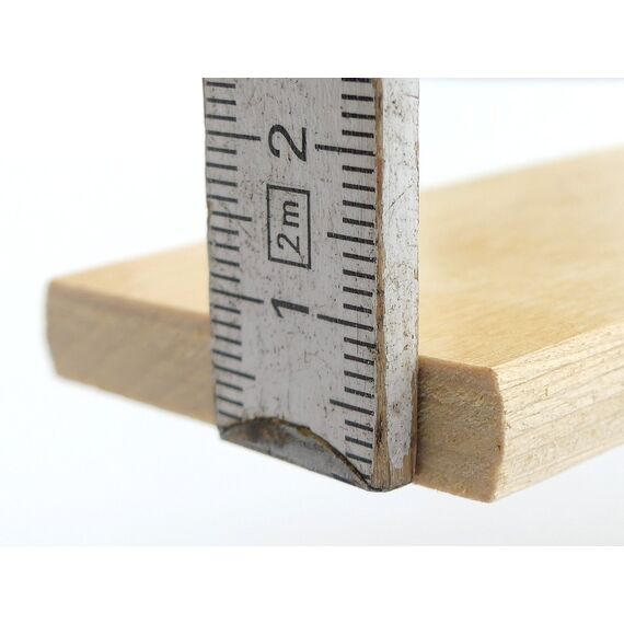 BOSSASHOP.de Set: Federholzleisten (8x50mm) + Befestigungs Kappen zur Selbstmontage für Futon, Bett oder Caravan | Stärke/Höhe 8mm x Breite 50mm (20 Kappen + 10 Leisten (Länge 992mm))