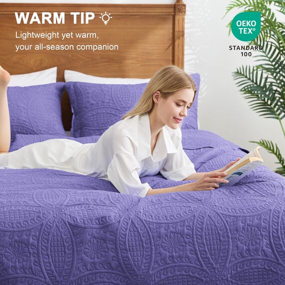 Love's cabin Quilts for Queen Bed Deep Purple Bedspreads Bedding Set - Summer Lightweight Bedspread Comforter - Coin Pattern Bedding Coverlet for All Season - 3-teilig (1 Steppdecke, 2 Kissenbezüge)