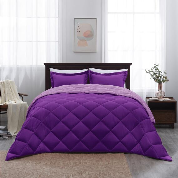 Basic Beyond Bettwäsche-Set für Queen-Size-Bett, wendbar, Bettdecke (223,5 x 233,7 cm) und 2 Kissenbezüge (50,8 x 66 cm + 5 cm), für alle Jahreszeiten, Violett/Flieder