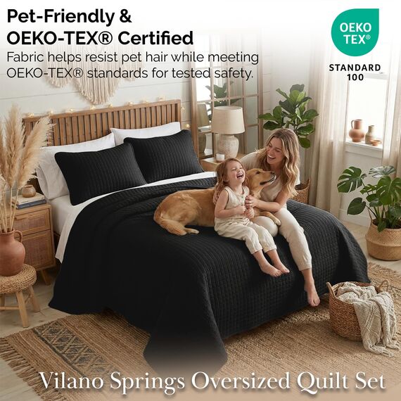 Southshore Fine Living, Inc. Hochwertiges, weiches, knitterfreies und lichtbeständiges Bettwäsche-Set, übergroßes Bettbezug-Set mit 1 Bettwäsche-Set und 2 Kissenbezügen, schwarz, Full/Queensize-Bett