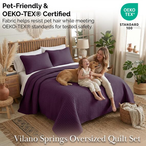 Southshore Fine Living, Inc. Quilts, Queen-Size-Bettdecken-Set, flecken- und tierhaarresistent, Tagesdecke, Queen-Size-Größe, leichte Tagesdecke mit 2 Kissenbezügen, Violett